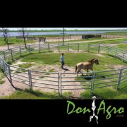 Corral Circular 10mts Lemsco para equinos 1.80 alto