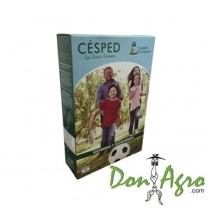 Cesped Raigras Perenne x 1kg bolsa